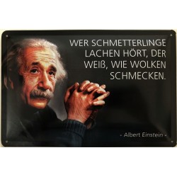 Einstein Spruch: Gott würfelt nicht. - Blechschild 30 x 20 cm