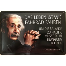 Einstein Spruch: Das Leben...