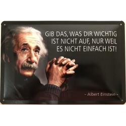 Einstein Spruch: Gib das, was dir wichtig ist nicht auf, nur weil es nicht einfach ist. - Blechschild 30 x 20 cm