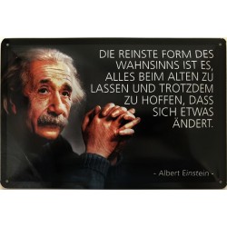 Einstein Spruch: Die...