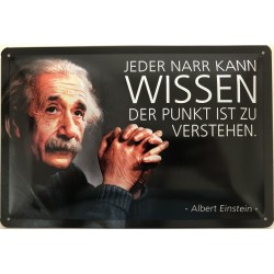 Einstein Spruch: Jeder Narr kann Wissen, er Punkt ist zu verstehen. - Blechschild 30 x 20 cm
