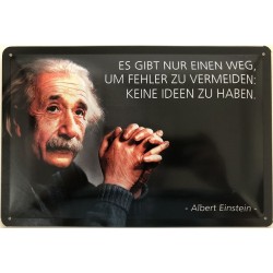 Einstein Spruch: Es gibt...
