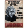 Einstein Spruch: Nur eil du in den Zug kotzt, bist du noch lange nicht Bahnbrechend ! - Blechschild 30 x 20 cm