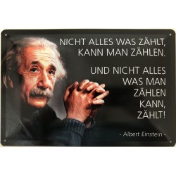 Einstein Spruch: Nicht alles was zählt, kann man zählen, und nicht alles was man zählen kann, zählt - Blechschild 30 x 20 cm