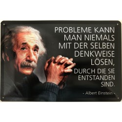 Einstein Spruch: Probleme...
