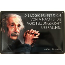 Einstein Spruch: Die Logik...