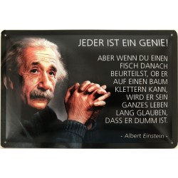 Einstein Spruch: Jeder ist ein Genie - Blechschild 30 x 20 cm