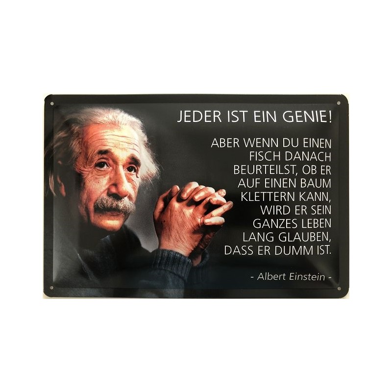 Einstein Spruch: Jeder ist ein Genie - Blechschild 30 x 20 cm