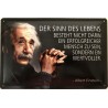 Einstein Spruch: Der Sinn des Lebens besteht nicht darin ein erfolgreiche Mensch zu sein - Blechschild 30 x 20 cm