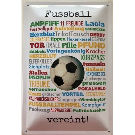 Fussball vereint - Blechschild 30 x 20 cm