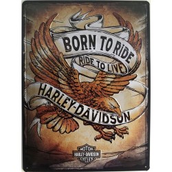 Born to Ride - Ride to Live...