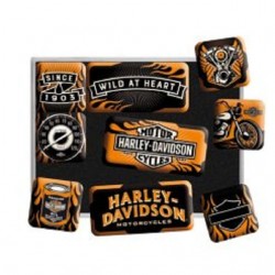 Harley Davidson Motorcycles...