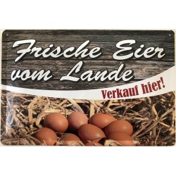 Frische Eier vom Lande Verkauf Hier - Blechschild 30 x 20 cm
