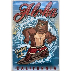 Aloha California - Surfing...