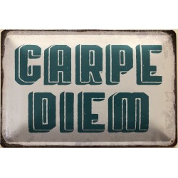 Carpe Diem - Blechschild 30...