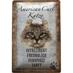 American Curl Katze -...