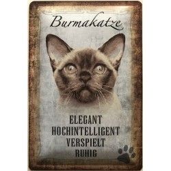 Burma Katze - Blechschild...