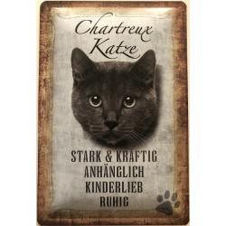 Chartreux Katze -...