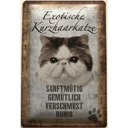 Exotische Kurzhaar Katze -...