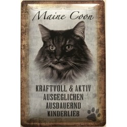 Maine Coon Katze -...