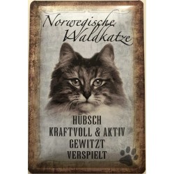 Norwegische Wald Katze -...