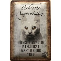 Türkische Angora Katze -...