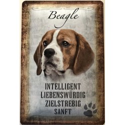 Beagle Hund - Blechschild...