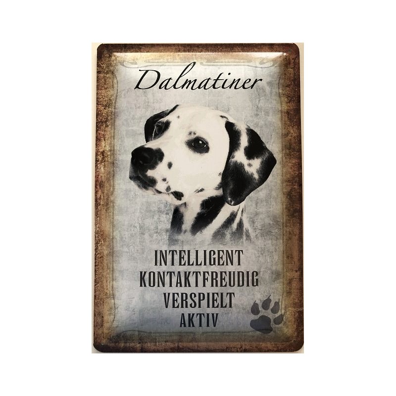 Kein Haus ohne Dalmatiner Hund Dog Blechschild Schild 20 x 30 cm R0186 
