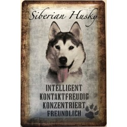 Siberian Husky Hund -...