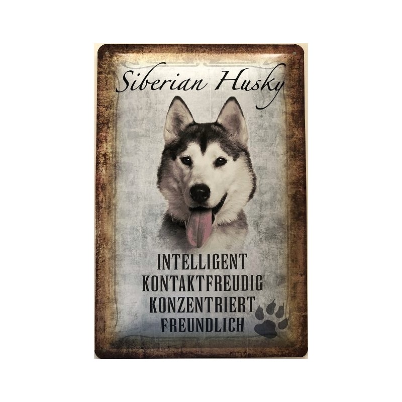 Siberian Husky Hund - Blechschild 30 x 20 cm