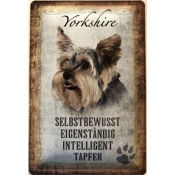 Yorkshire Hund -...