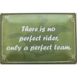 There is no perfect rider,...