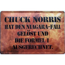 Chuck Norris hat den...