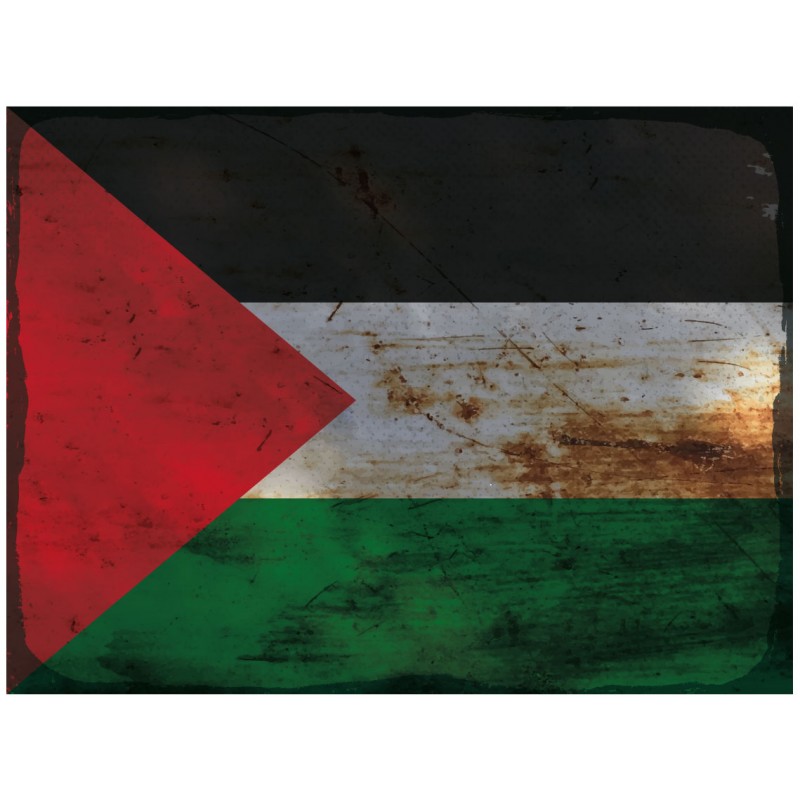 National Flagge im Vintage Design Palästina Flag Palestine - Blechschild 30  x 20 cm
